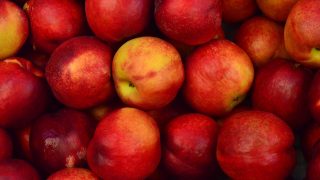 Jabłka do jabłecznika - jakie wybrać