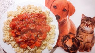 Makaron "Psi Patrol" w sosie pomidorowym z parówkami