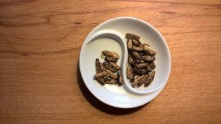 Jadalne owady alternatywą dla mięsa?