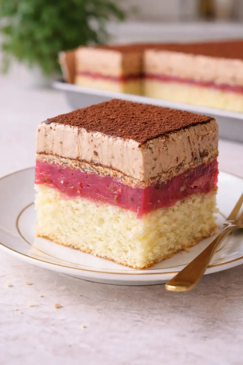 Ciasto malinowe z kremem czekoladowym