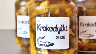 Krokodylki – chrupiące ogórki słodko-pikantne do słoików